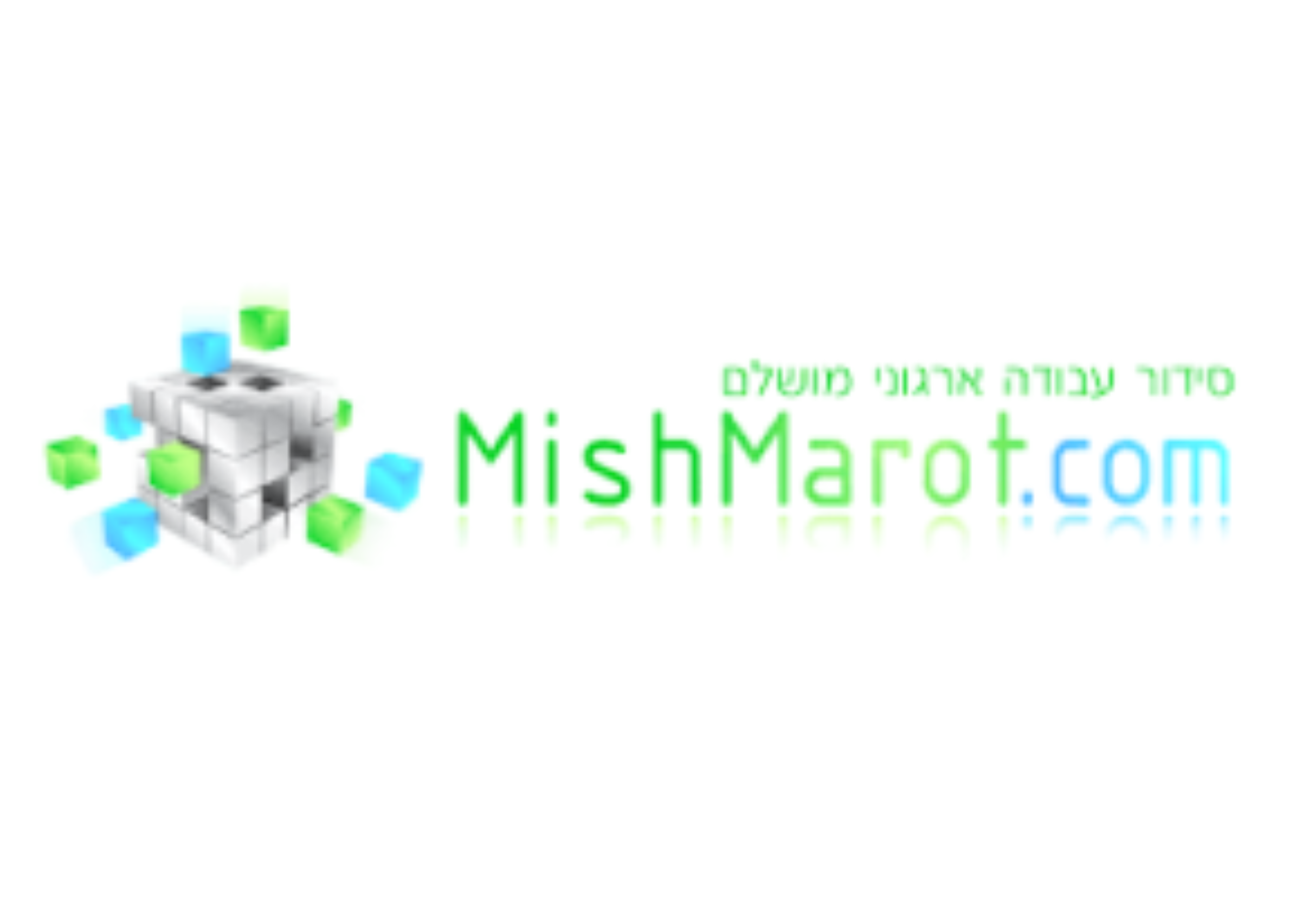 לוגו מציגות אתר הכנס (2)